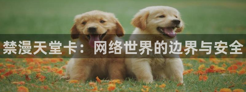 香蕉漫画网：禁漫天堂卡：网络世界的边界与安全