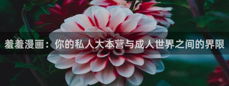 volcanicage漫画：羞羞漫画：你的私人大本营与成人世界之间的界限