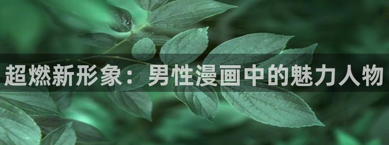 香蕉漫画樱花：超燃新形象：男性漫画中的魅力人物