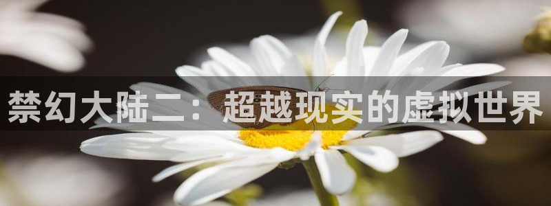香蕉漫画网：禁幻大陆二：超越现实的虚拟世界