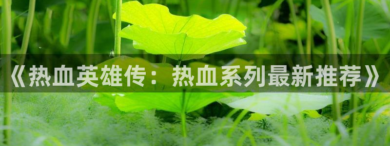 age漫画网：《热血英雄传：热血系列最新推荐》