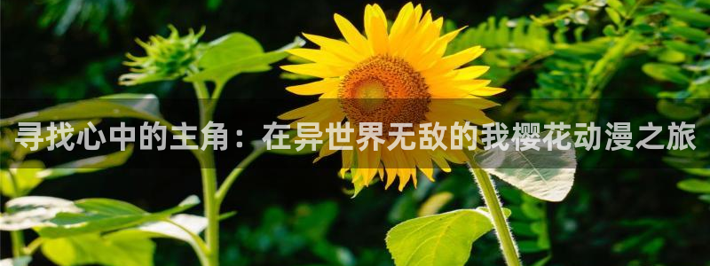 下载香蕉漫画：寻找心中的主角：在异世界无敌的我樱花动漫之旅