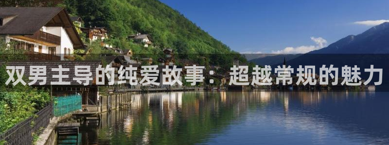 age专注动漫的门户网站：双男主导的纯爱故事：超越常规的魅力