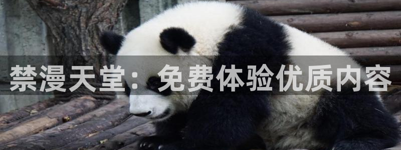 backstage韩漫免费观看：禁漫天堂：免费体验优质内容