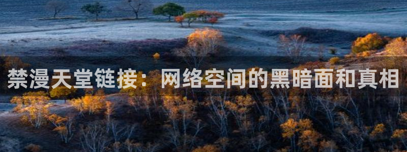 kakaopage韩漫官网：禁漫天堂链接：网络空间的黑暗面和真相