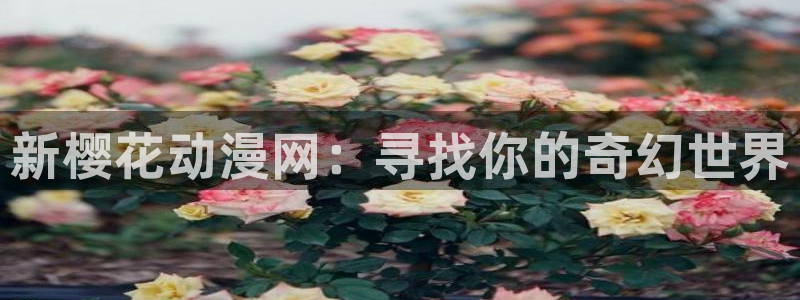 香蕉漫画下载网：新樱花动漫网：寻找你的奇幻世界