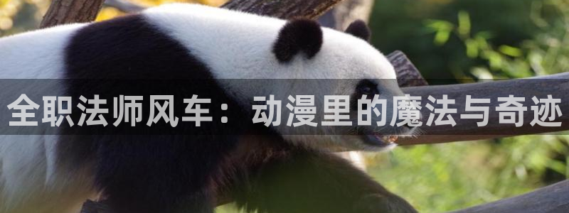 拷贝漫画 copymanager.ory网站：全职法师风车：动漫里的魔法与奇迹